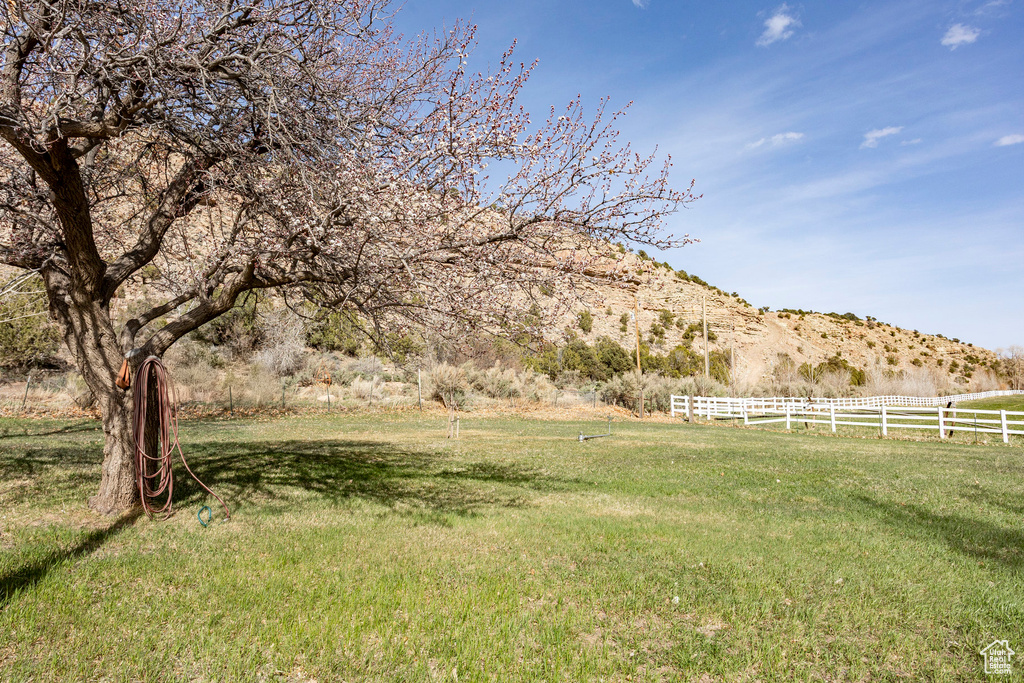 View of yard with a rural view, fence, and a mountain view