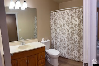 Bathroom featuring vanity, wood finished floors, toilet, and curtained shower