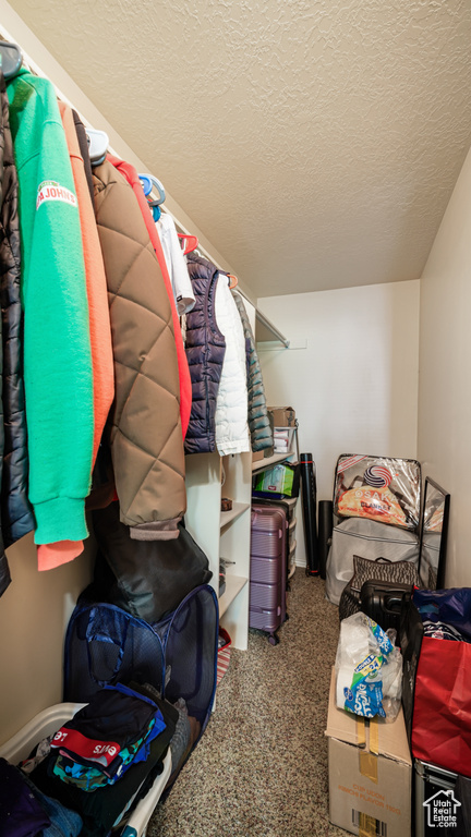 Walk in closet with carpet flooring
