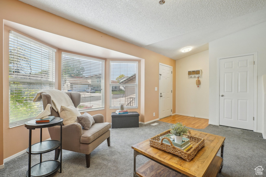 Carpeted living area featuring baseboards, a textured ceiling, vaulted ceiling, and a wealth of natural light