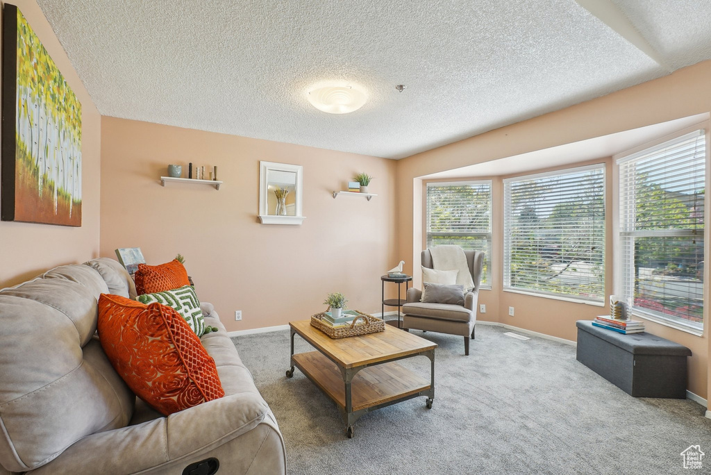 Carpeted living area featuring a textured ceiling and baseboards