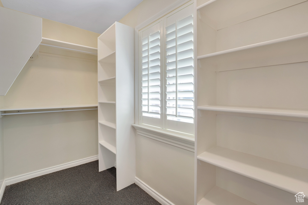 View of walk in closet