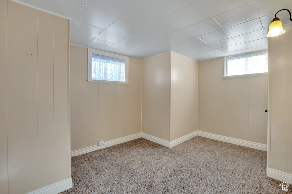 Basement featuring baseboards, a wealth of natural light, and carpet
