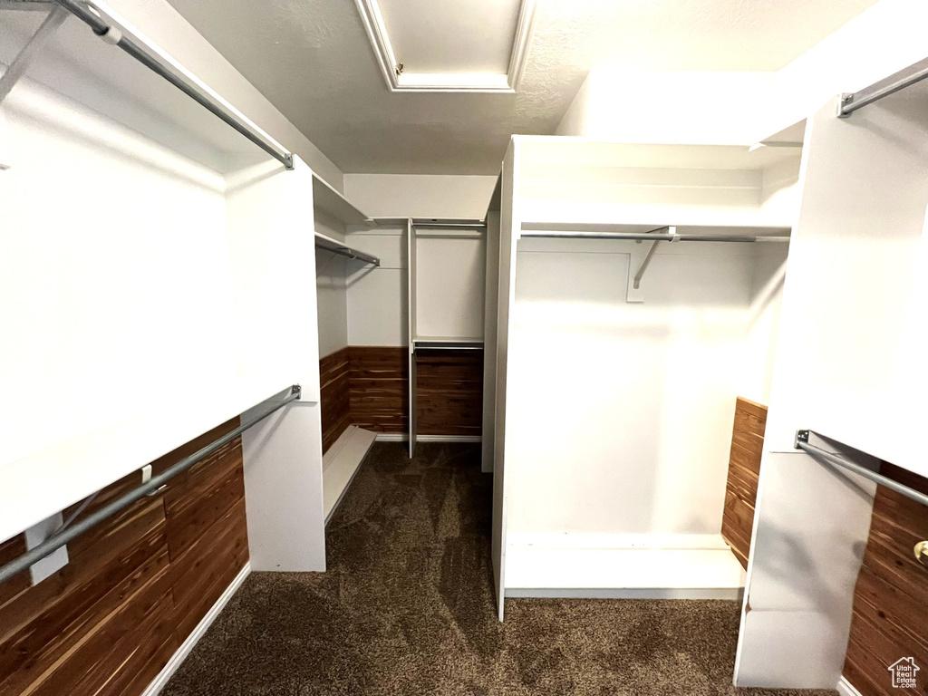 Walk in closet with dark colored carpet