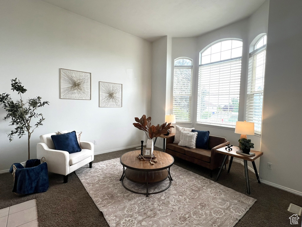 Living room featuring baseboards and carpet floors