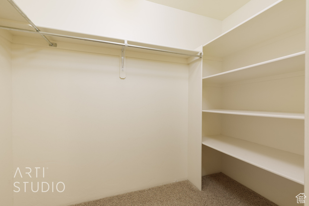 Walk in closet with carpet