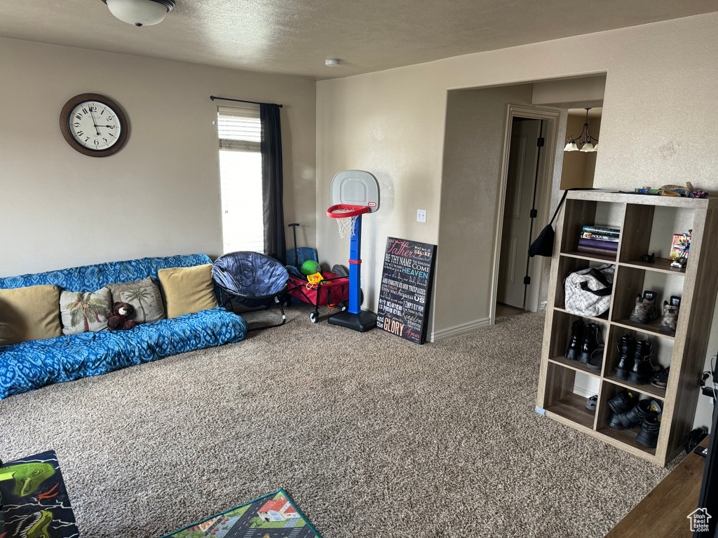 Rec room with carpet