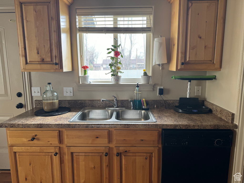 Kitchen featuring a sink and black dishwasher