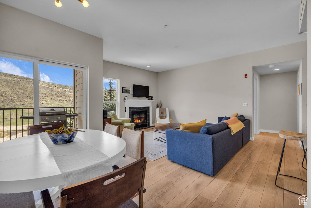 Living room with a glass covered fireplace and light wood-style flooring