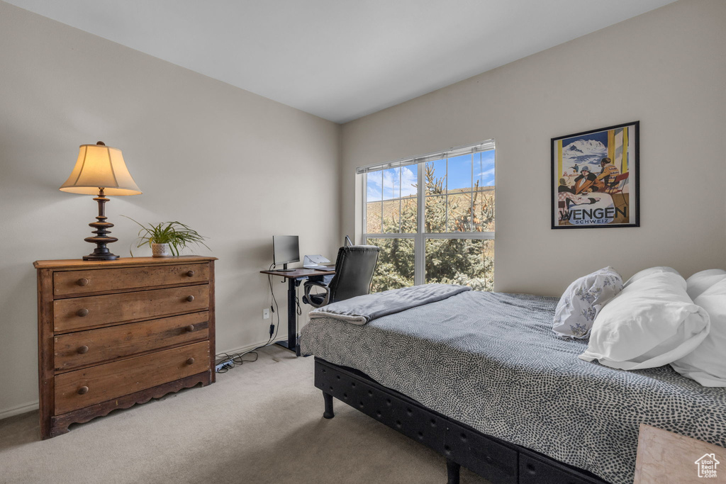 Bedroom with carpet