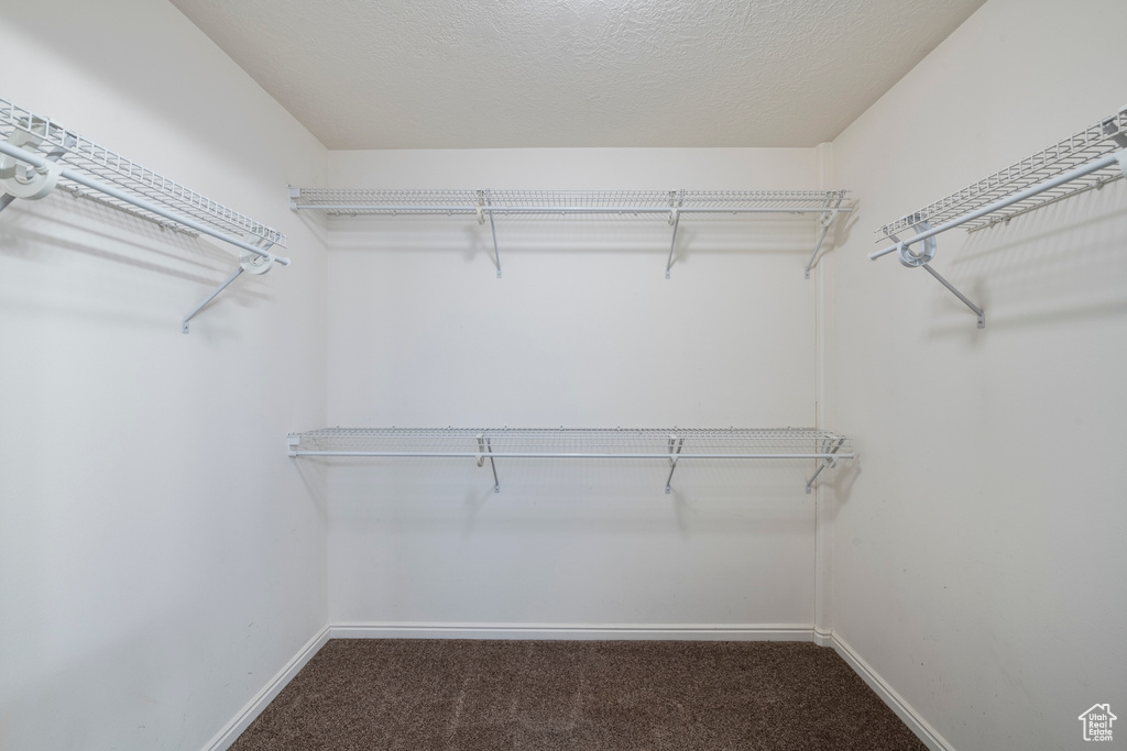 Spacious closet featuring carpet floors