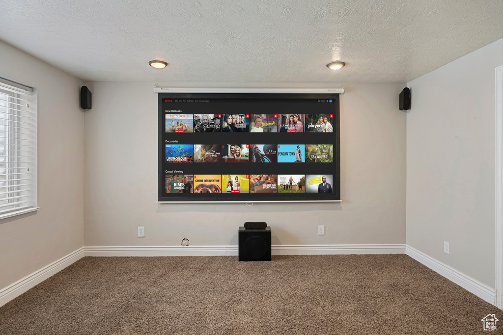 Carpeted home theater featuring baseboards and a textured ceiling