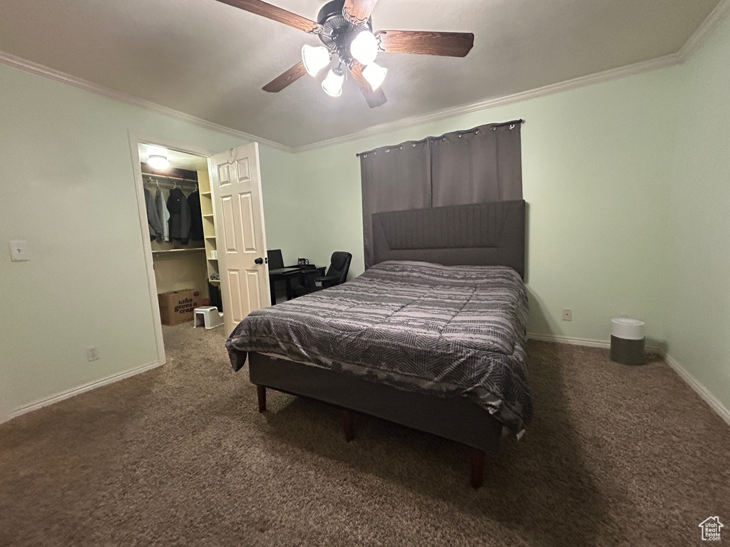 Bedroom featuring crown molding, baseboards, carpet floors, and a spacious closet