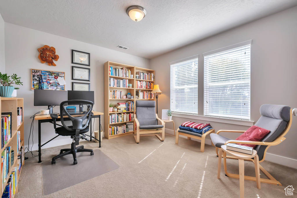 Carpeted office with a textured ceiling, visible vents, and baseboards