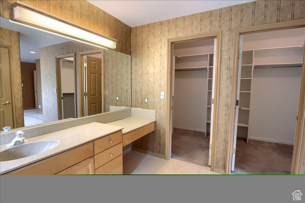 Bathroom featuring baseboards, vanity, and a spacious closet
