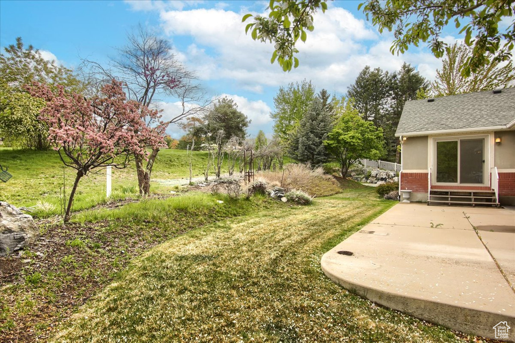 View of yard featuring a patio and entry steps
