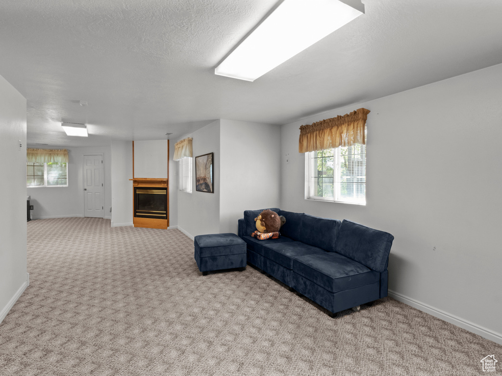 Carpeted living room featuring baseboards, a glass covered fireplace, and a wealth of natural light