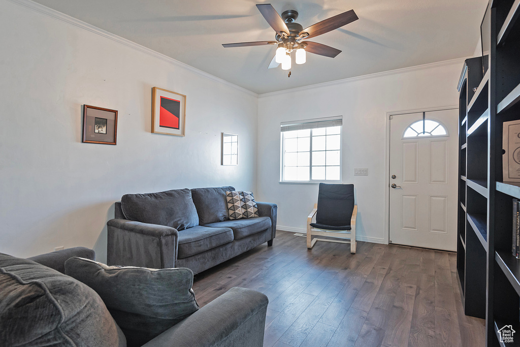 Living room featuring crown molding, ceiling fan, dark wood finished floors, and baseboards