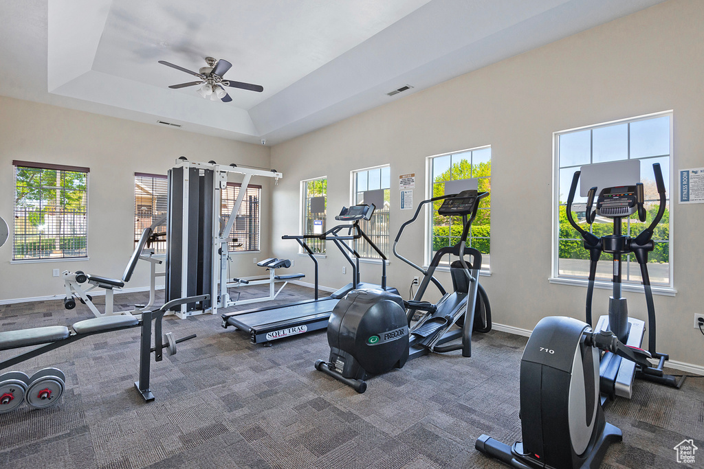 Workout area featuring ceiling fan, visible vents, baseboards, carpet floors, and a tray ceiling