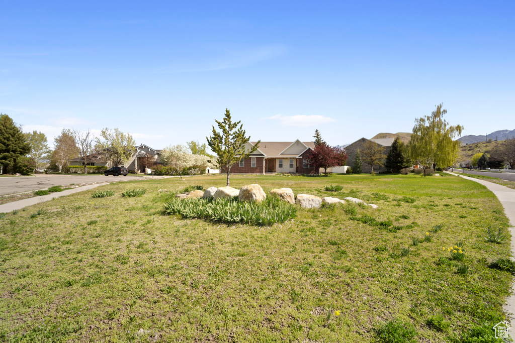View of front of house with a front yard