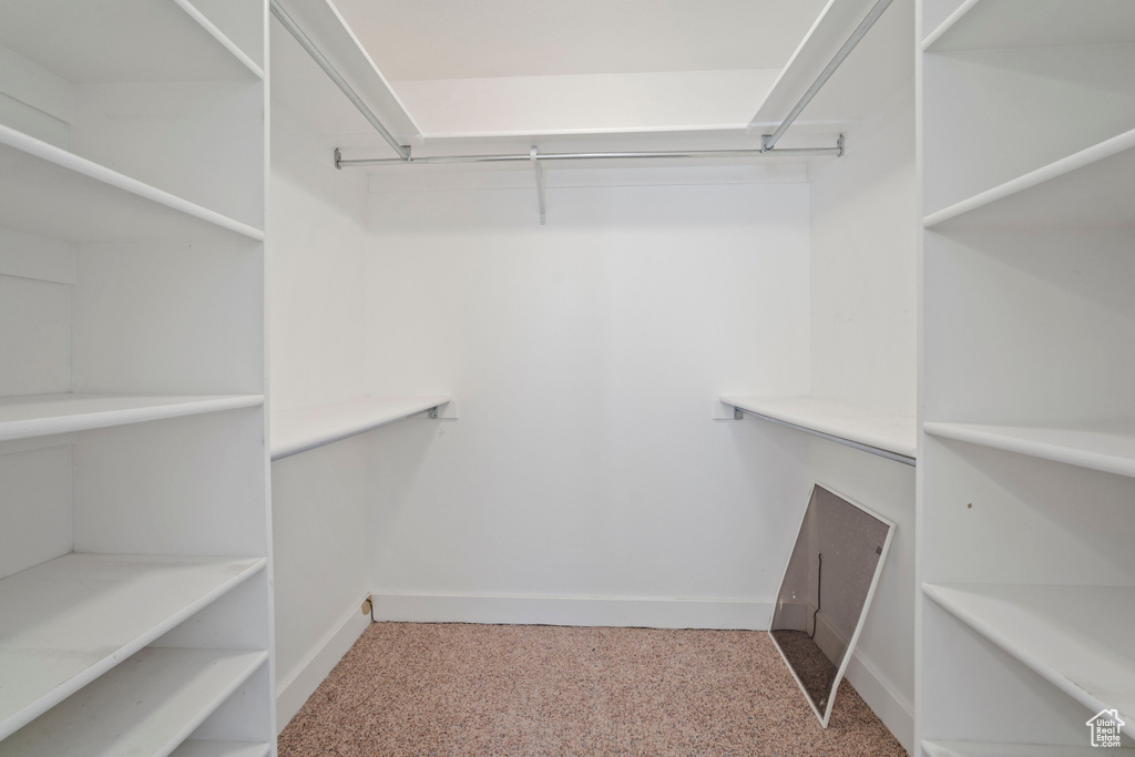 Spacious closet featuring carpet