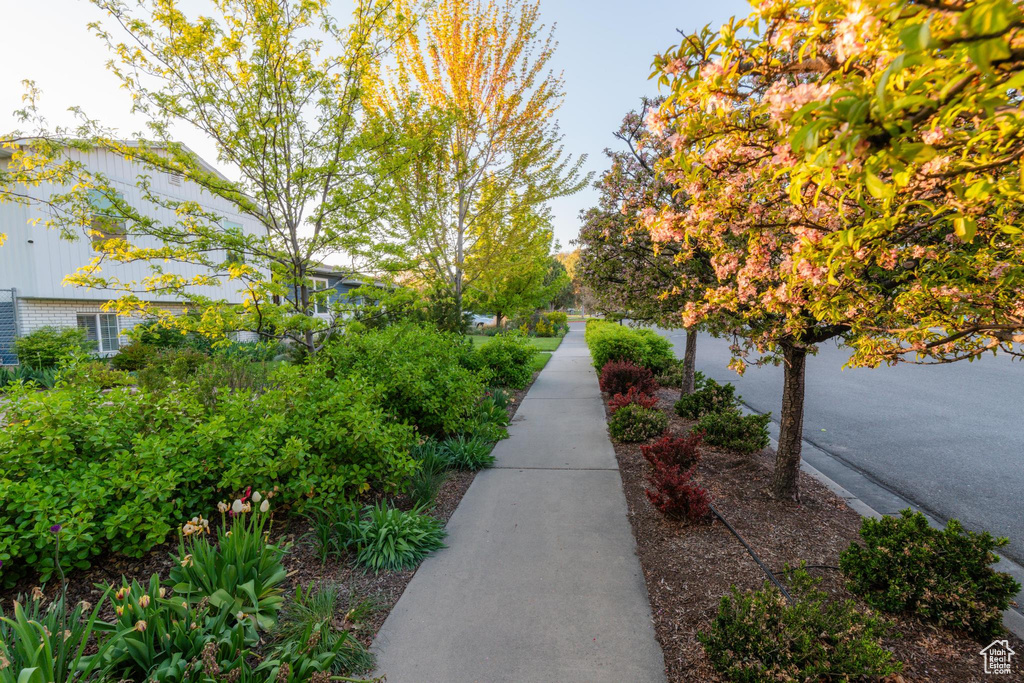 View of surrounding community