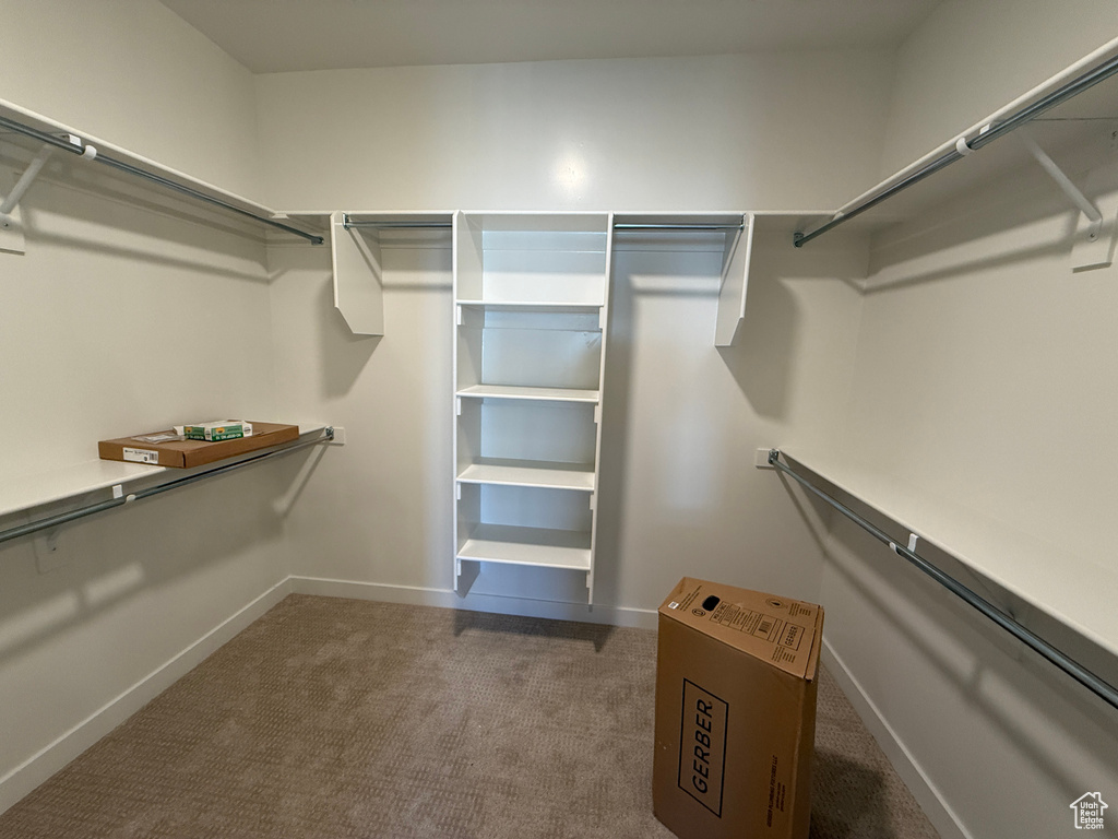 Spacious closet featuring carpet