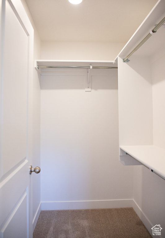 Walk in closet featuring carpet