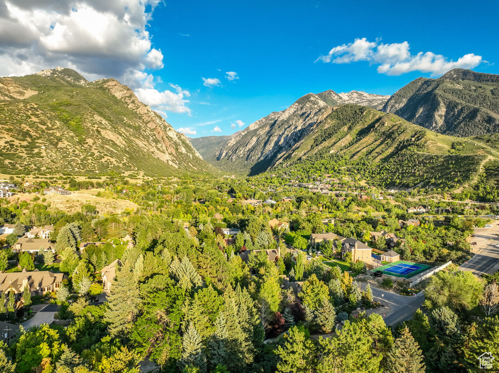 Mountain view