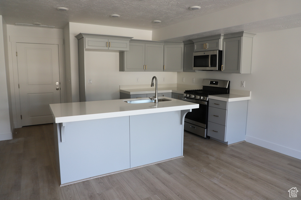 Kitchen featuring gray cabinets, appliances with stainless steel finishes, a sink, and light wood-style flooring
