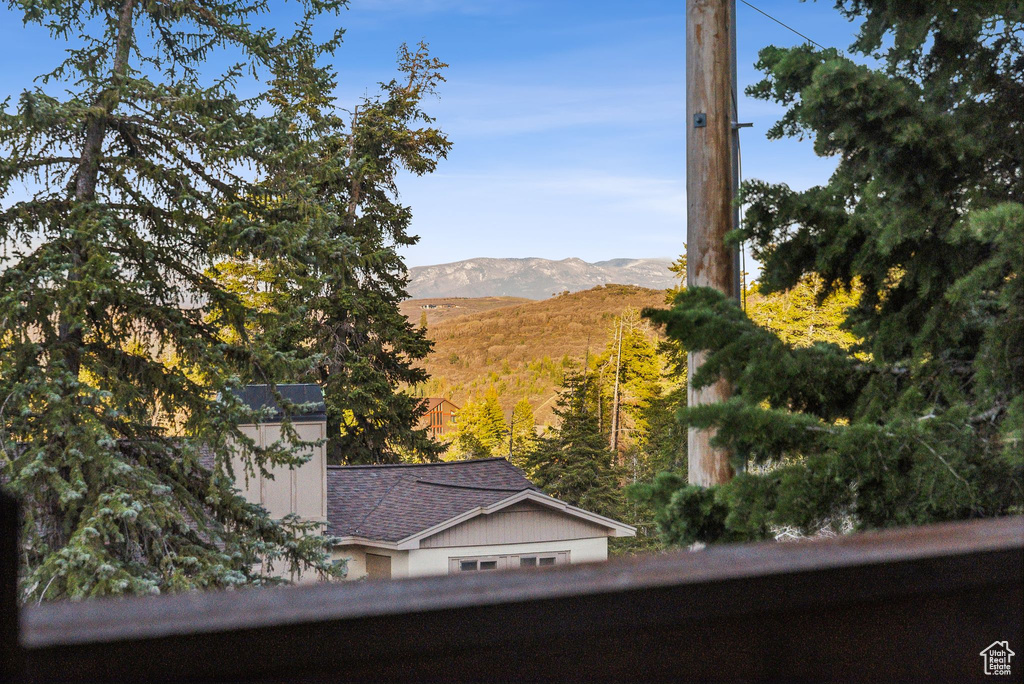 Mountain view