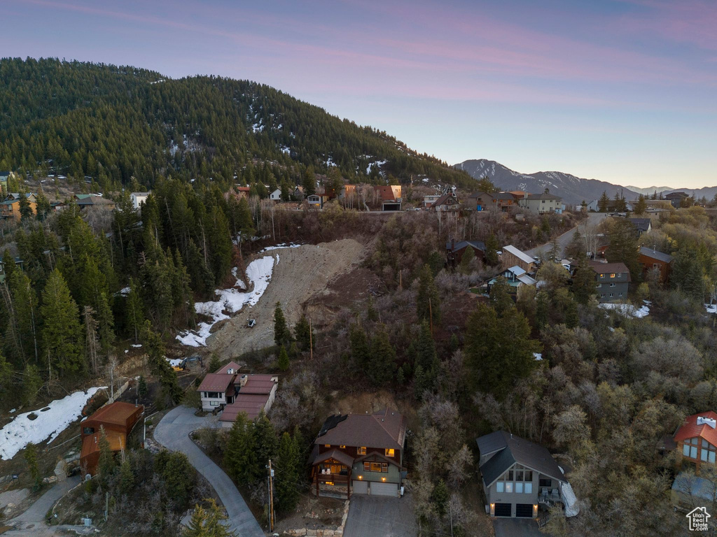 Drone / aerial view featuring a view of trees and a mountain view