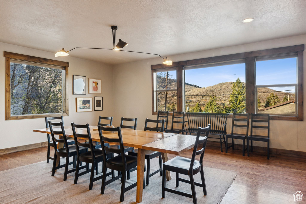 Dining space featuring baseboards, light wood-style floors, and a mountain view
