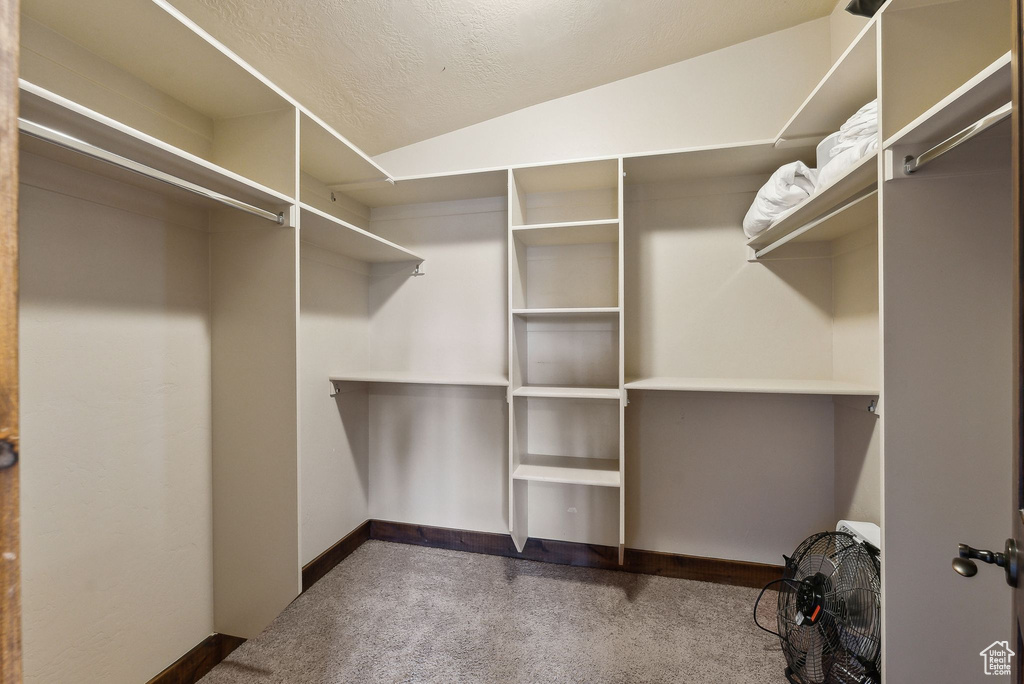 Spacious closet featuring carpet floors and lofted ceiling