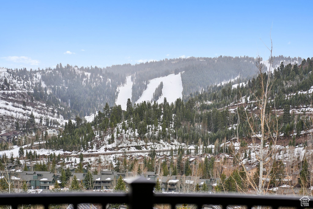 View of mountain feature featuring a forest view