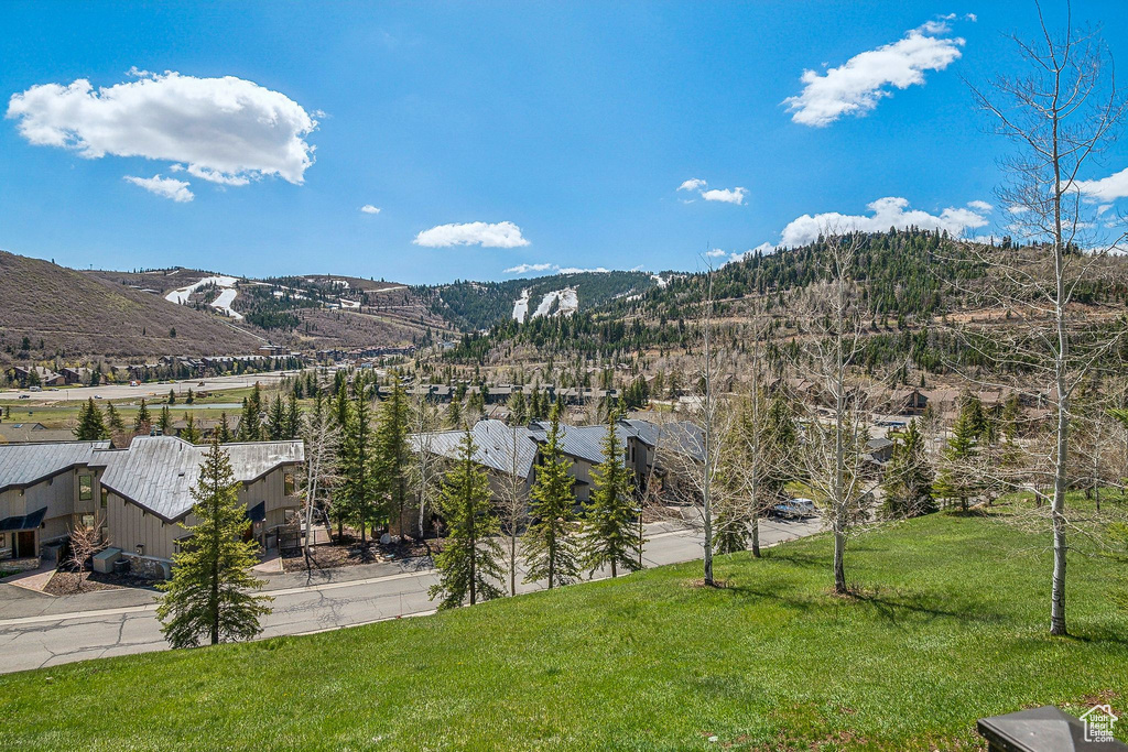Mountain view