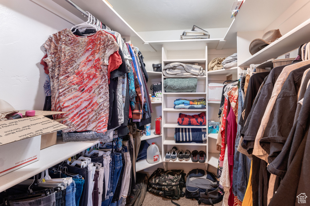 Walk in closet featuring carpet