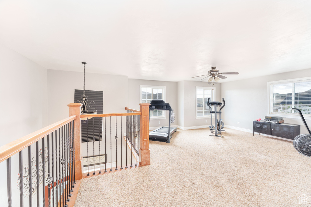 Exercise area featuring baseboards, ceiling fan, and carpet floors