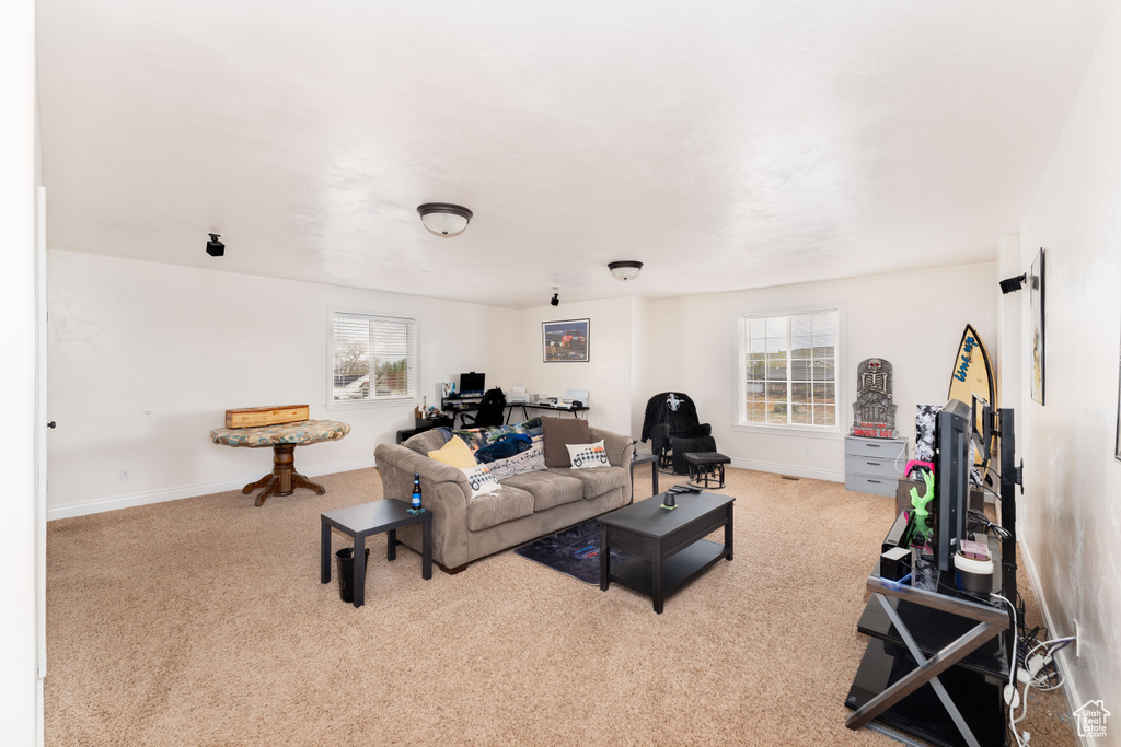 Living area featuring baseboards and carpet