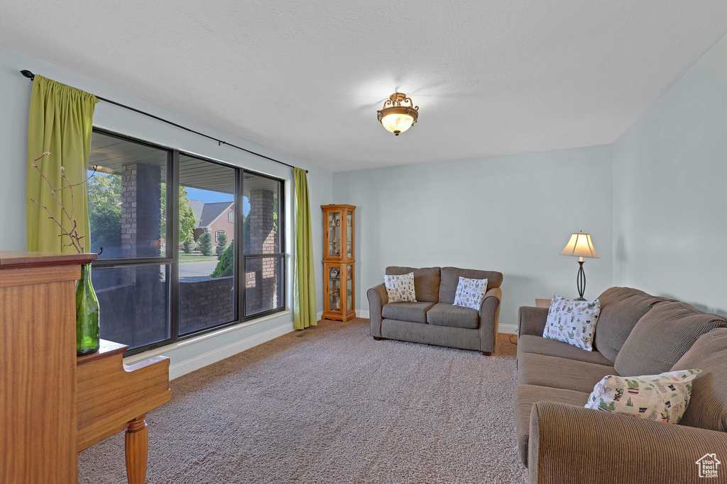 Carpeted living room with baseboards