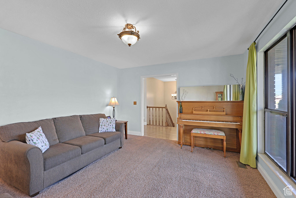 Living room with baseboards and carpet