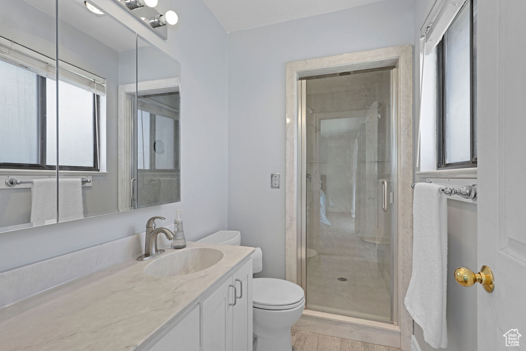 Bathroom featuring vanity, plenty of natural light, toilet, and a shower stall