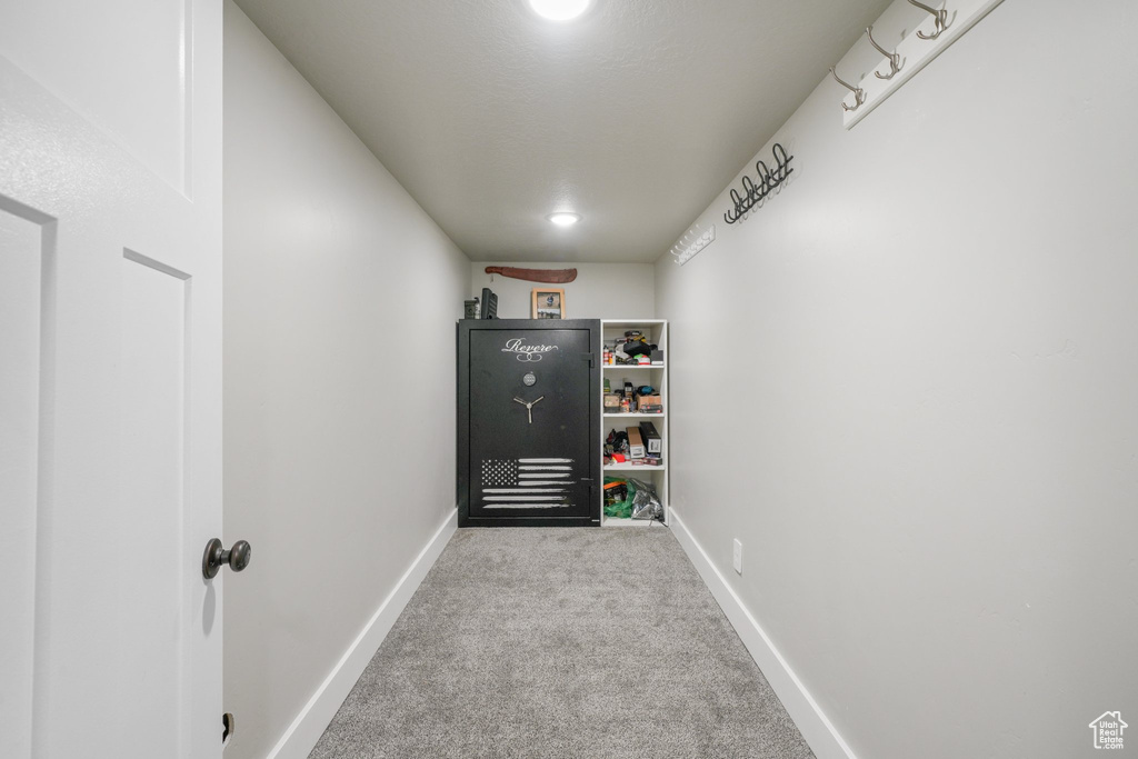 Walk in closet featuring carpet