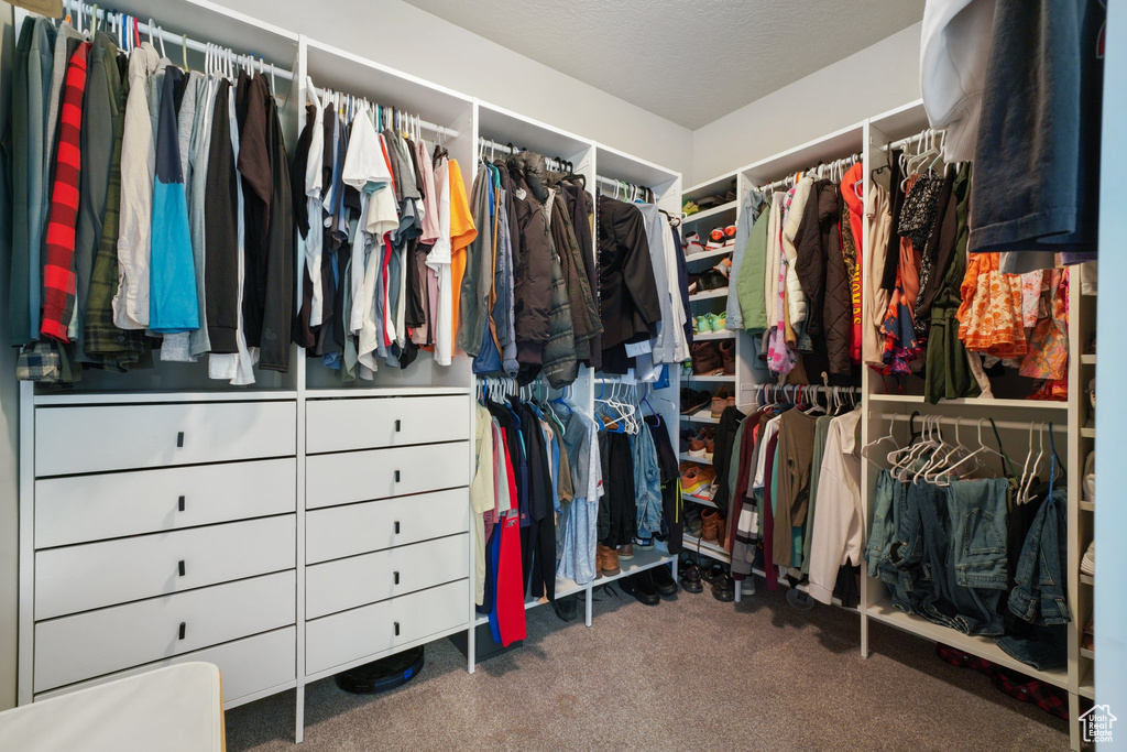 Spacious closet with carpet flooring