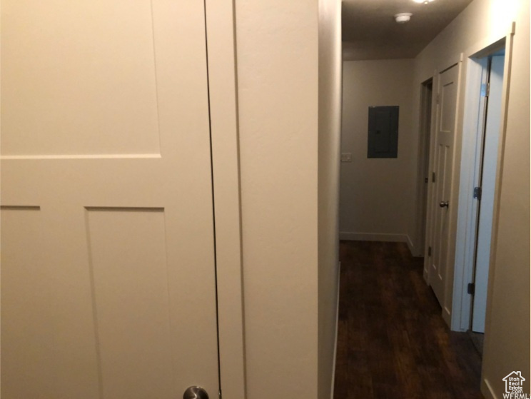 Hall with baseboards, dark wood-type flooring, and electric panel