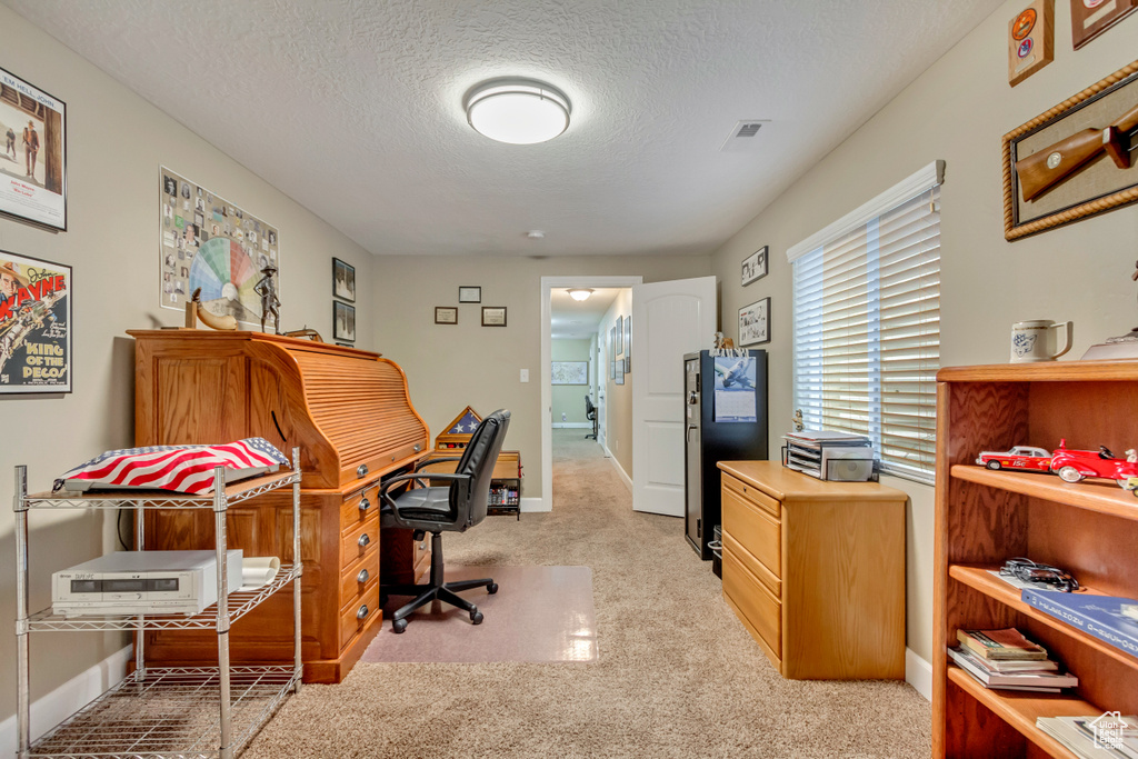 Office featuring light colored carpet, baseboards, and a textured ceiling