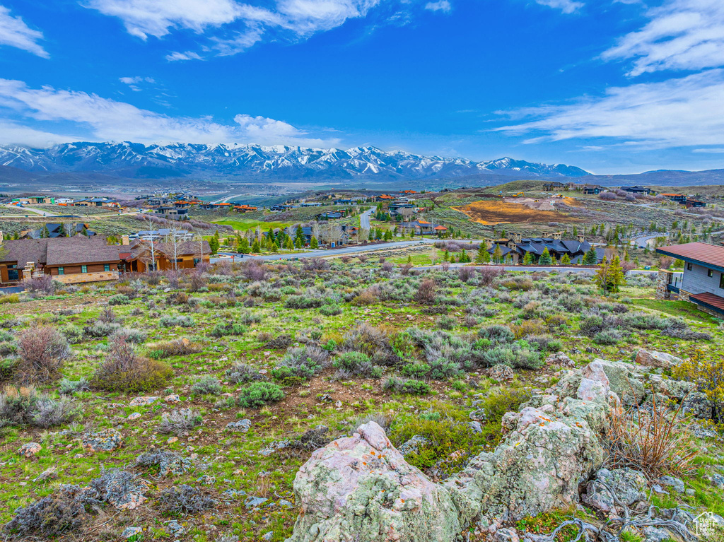 View of mountain background