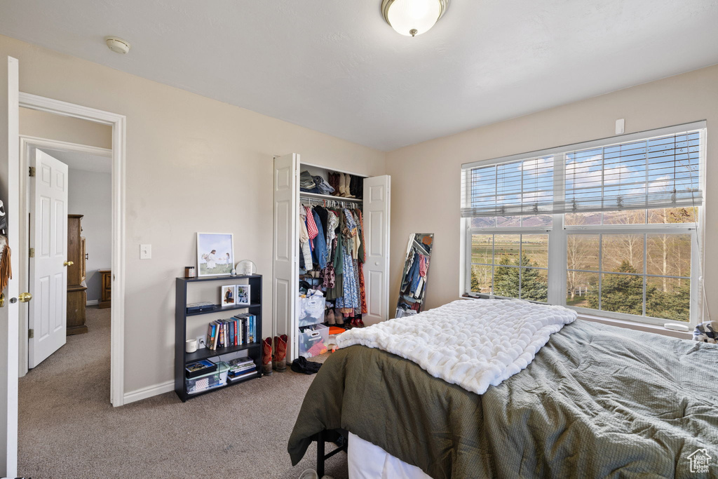 Carpeted bedroom featuring baseboards and a closet