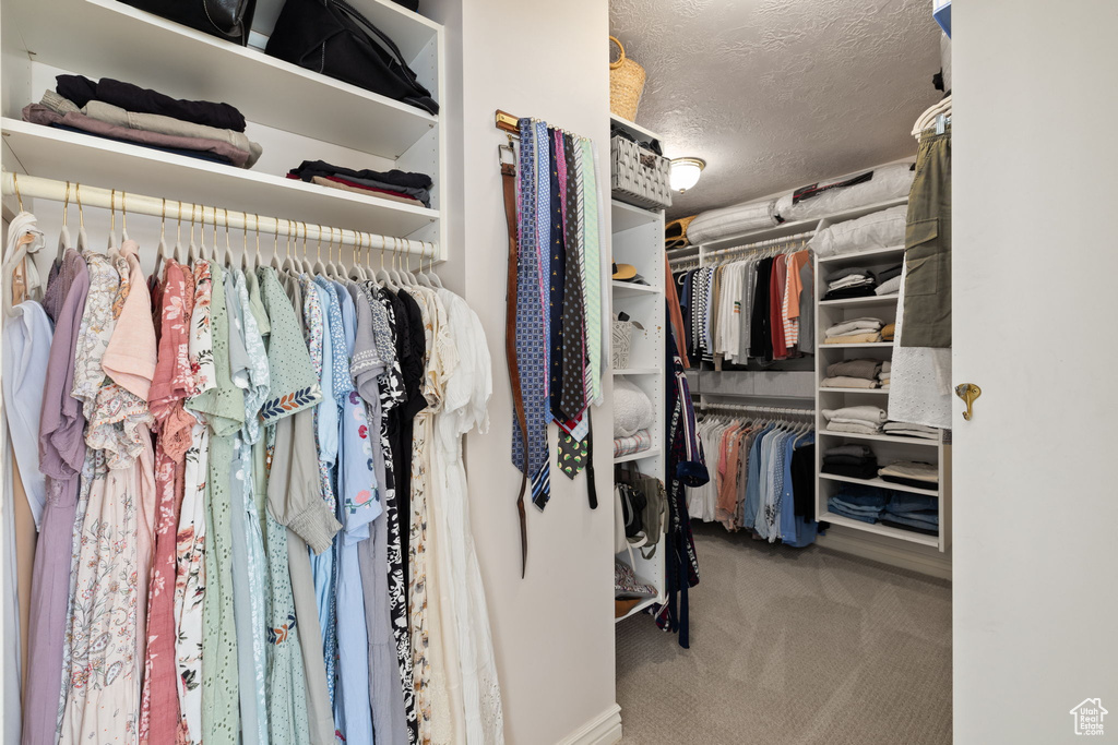 Walk in closet featuring carpet floors