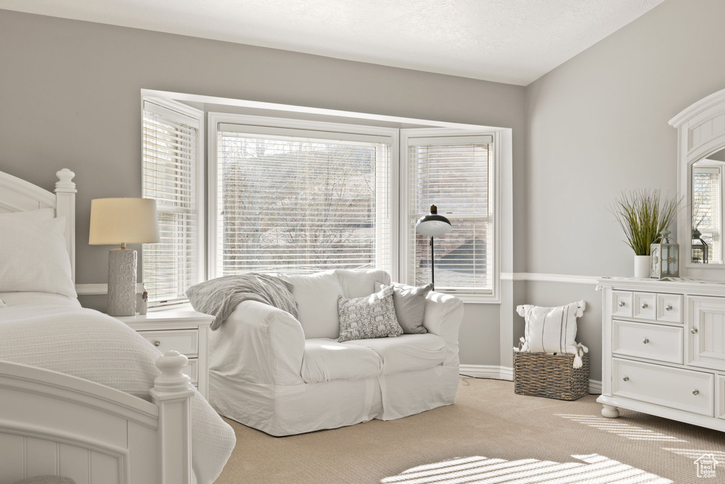 Living area with baseboards and carpet